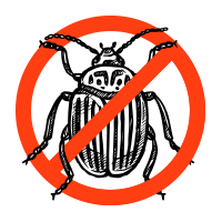 image-304505-bug1.png